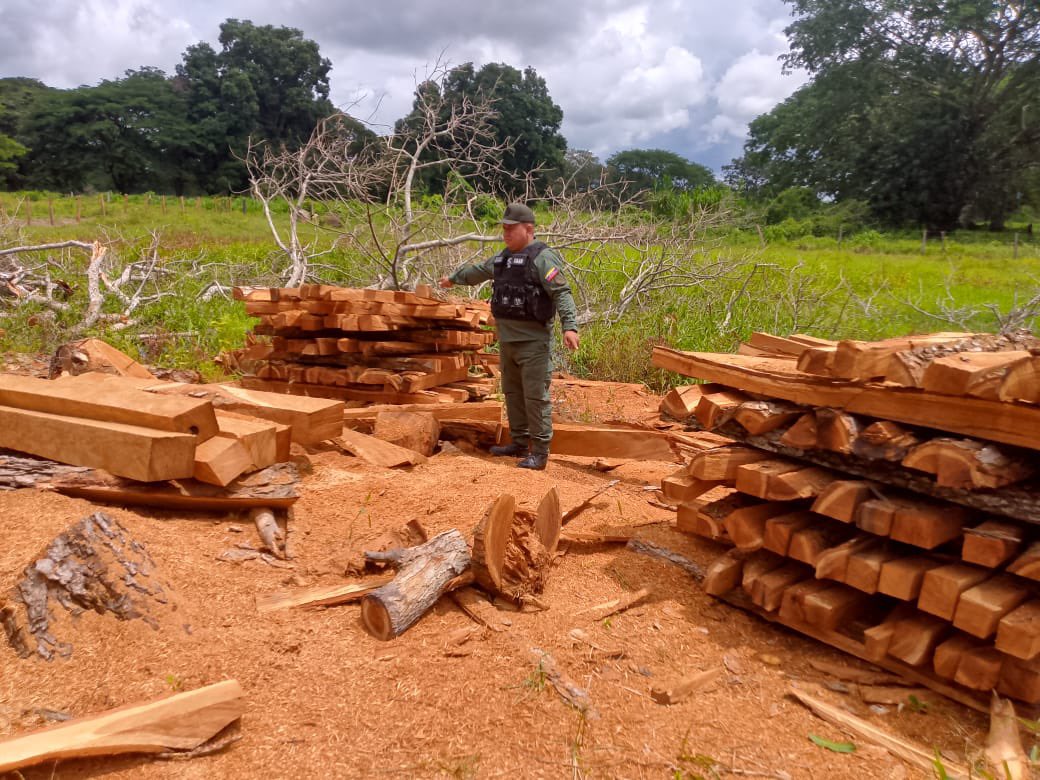GJ. Domingo Hernández Lárez tweet media