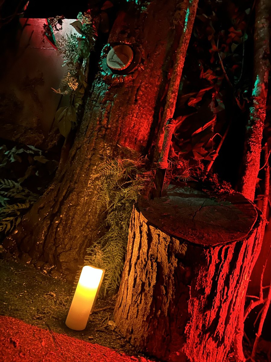 Who says you have to actually be outside to enjoy the outdoors? 🤔🔺🌳