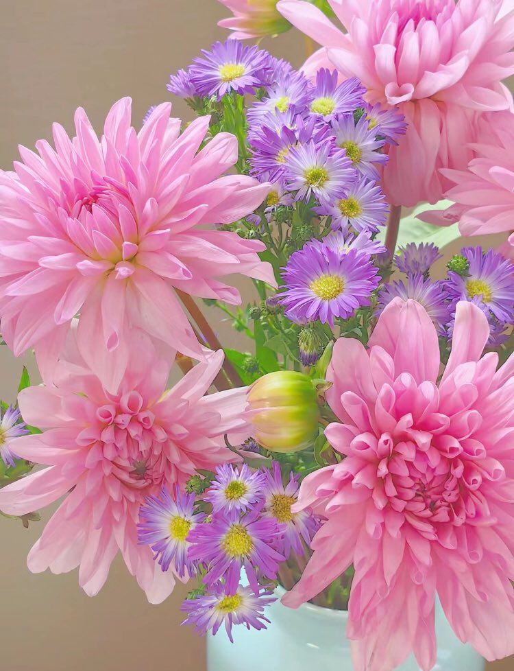 piinkibun's tweet photo. these flowers are so pretty https://t.co/WdsyDfh03H