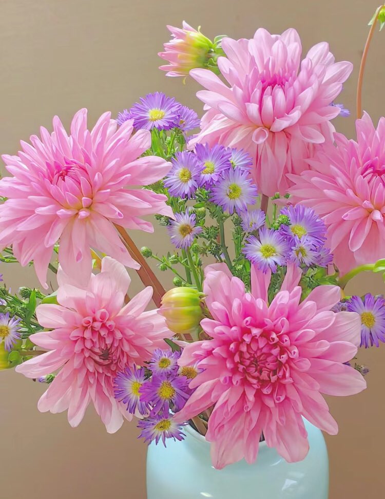 piinkibun's tweet photo. these flowers are so pretty https://t.co/WdsyDfh03H