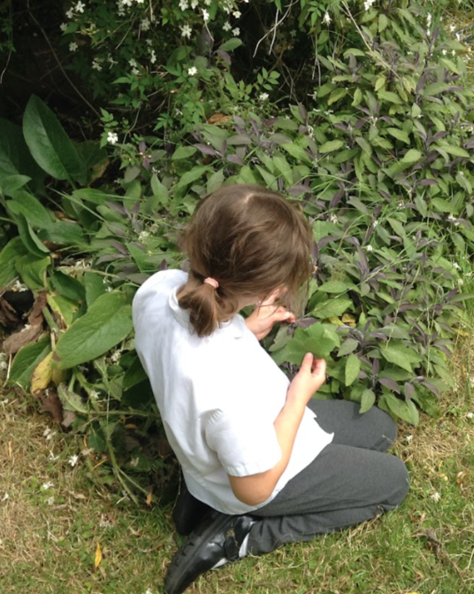Year 2 OLOL tweet media