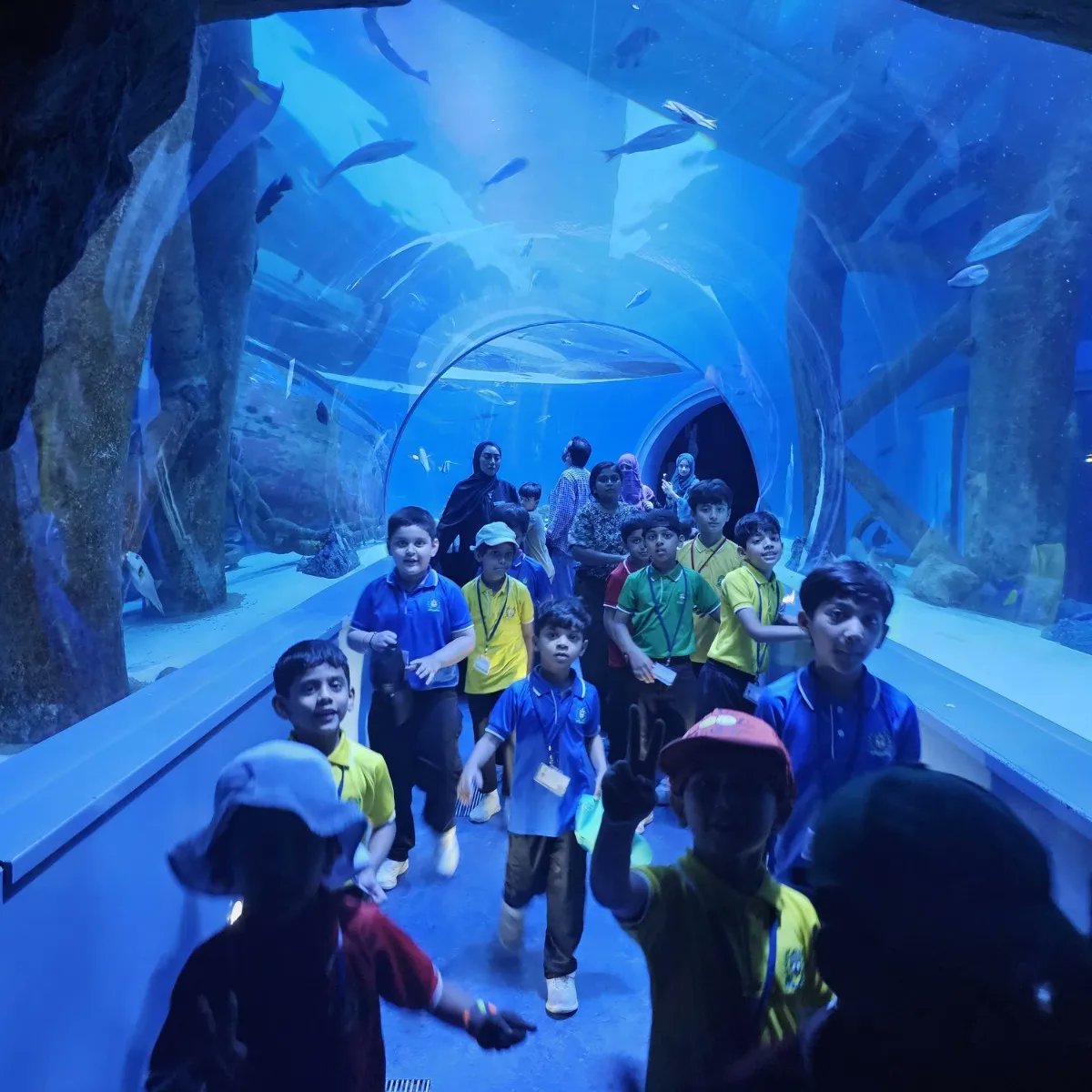 dpsrak's tweet image. Delhi Private School, RAK students had an exciting fun trip to create an unforgettable experience. Grades 1-3 visited Sharjah Aquarium while grades 4 -10 had a blast at Motiongate Dubai by enjoying rides, shows, and exploring new things.🌟 #dpsrak  #dpsrasalkhaimah #schooltrip