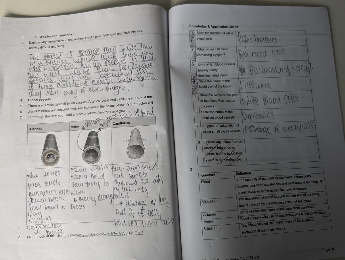 David_gilbert88's tweet photo. Great work from Year 8 on their recent Biology topic! #CMAScience https://t.co/X923uNYTkZ