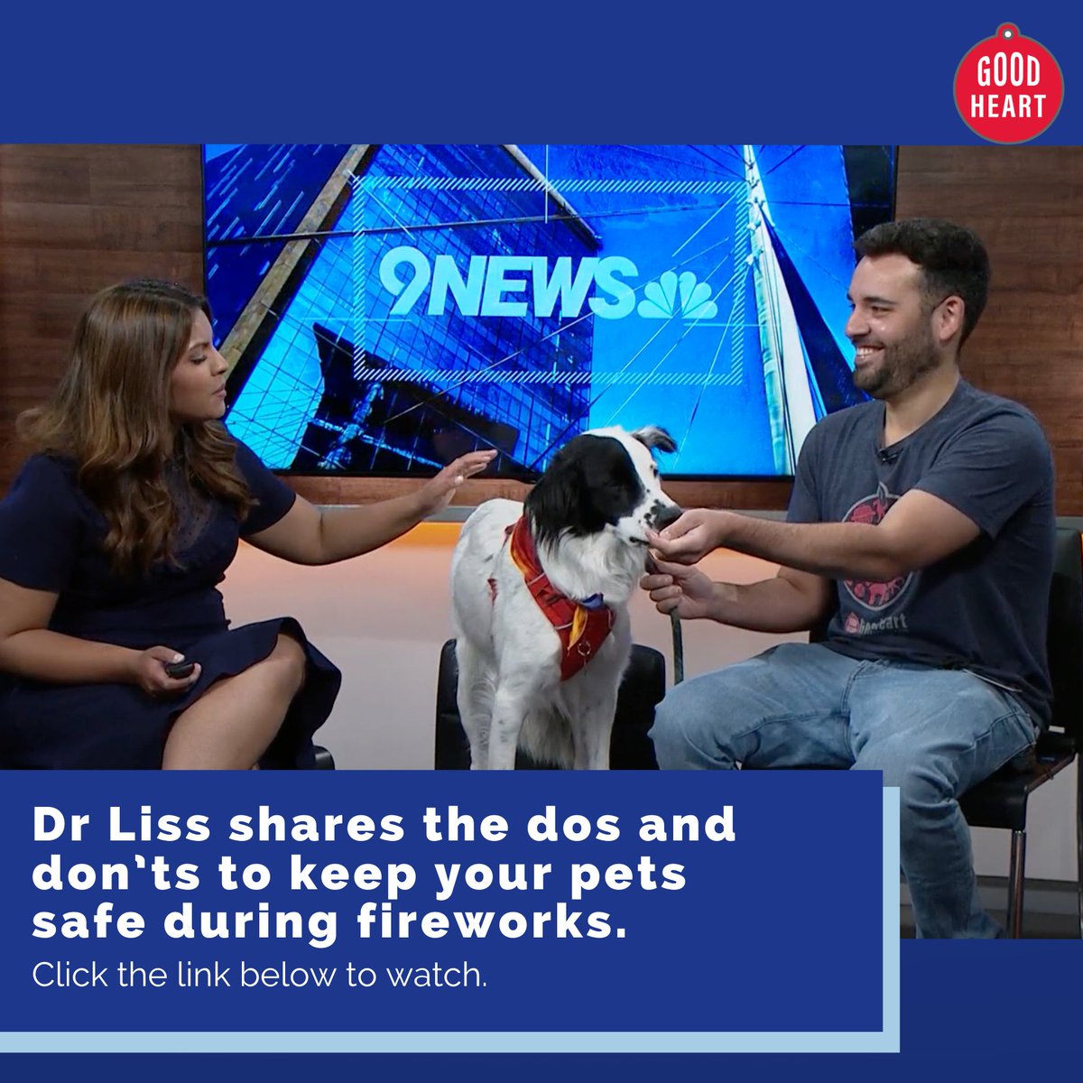 The 4th of July is right around the corner! Click the link below to watch Dr Liss share some dos and don'ts to keep your pet safe this year! 💥
bit.ly/3W8fi9j