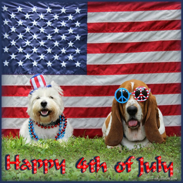 ddlearningspace's tweet image. Wishing all of you a happy and safe 4th of July! Our offices will be closed July 4th and 5th so our awesome team can enjoy the holiday weekend. We&apos;ll be back on Monday, July 8th to help you create beautiful and engaging learning spaces! #4thOfJuly