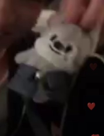 "as father as son" 
Chan with the                 wolfchan with the
left shoulder                     left shoulder 
Visible                                  visible