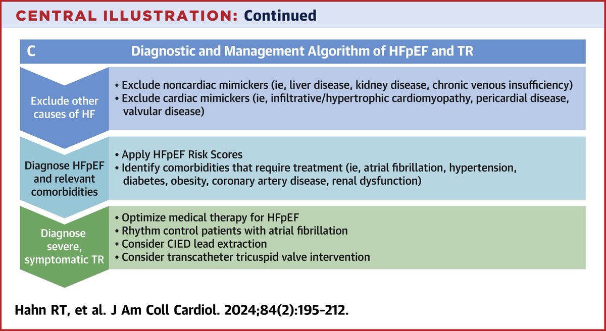 JACC Journals (@jaccjournals) on Twitter photo #HFpEF and #vhdTR frequently coexist. Dr. <a href="/hahn_rt/">RTHahnMD</a>, et al review the pathophysiology of HFpEF and TR, the physiologic changes that occur following transcatheter treatment, and how this may impact the management of HFpEF bit.ly/3LbA8hA
#JACC <a href="/RyanTedfordMD/">Ryan J Tedford MD</a> <a href="/JavedButler1/">Javed Butler</a> #HFpEF and #vhdTR frequently coexist. Dr. <a href="/hahn_rt/">RTHahnMD</a>, et al review the pathophysiology of HFpEF and TR, the physiologic changes that occur following transcatheter treatment, and how this may impact the management of HFpEF bit.ly/3LbA8hA
#JACC <a href="/RyanTedfordMD/">Ryan J Tedford MD</a> <a href="/JavedButler1/">Javed Butler</a>