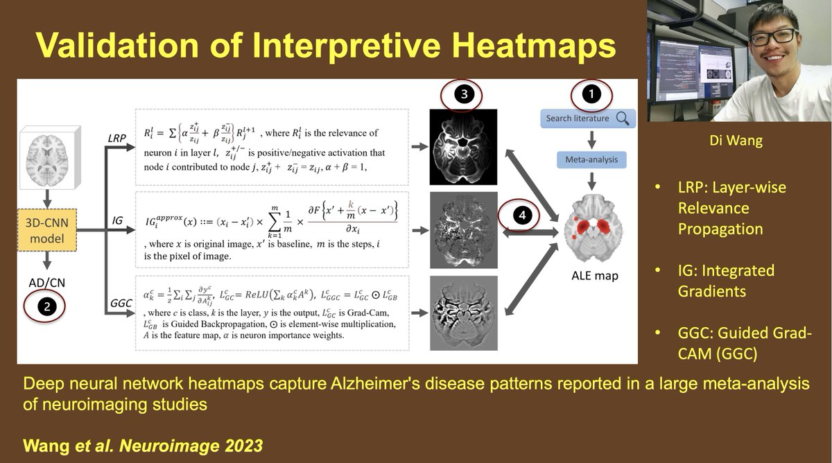 Mohamad Habes tweet media