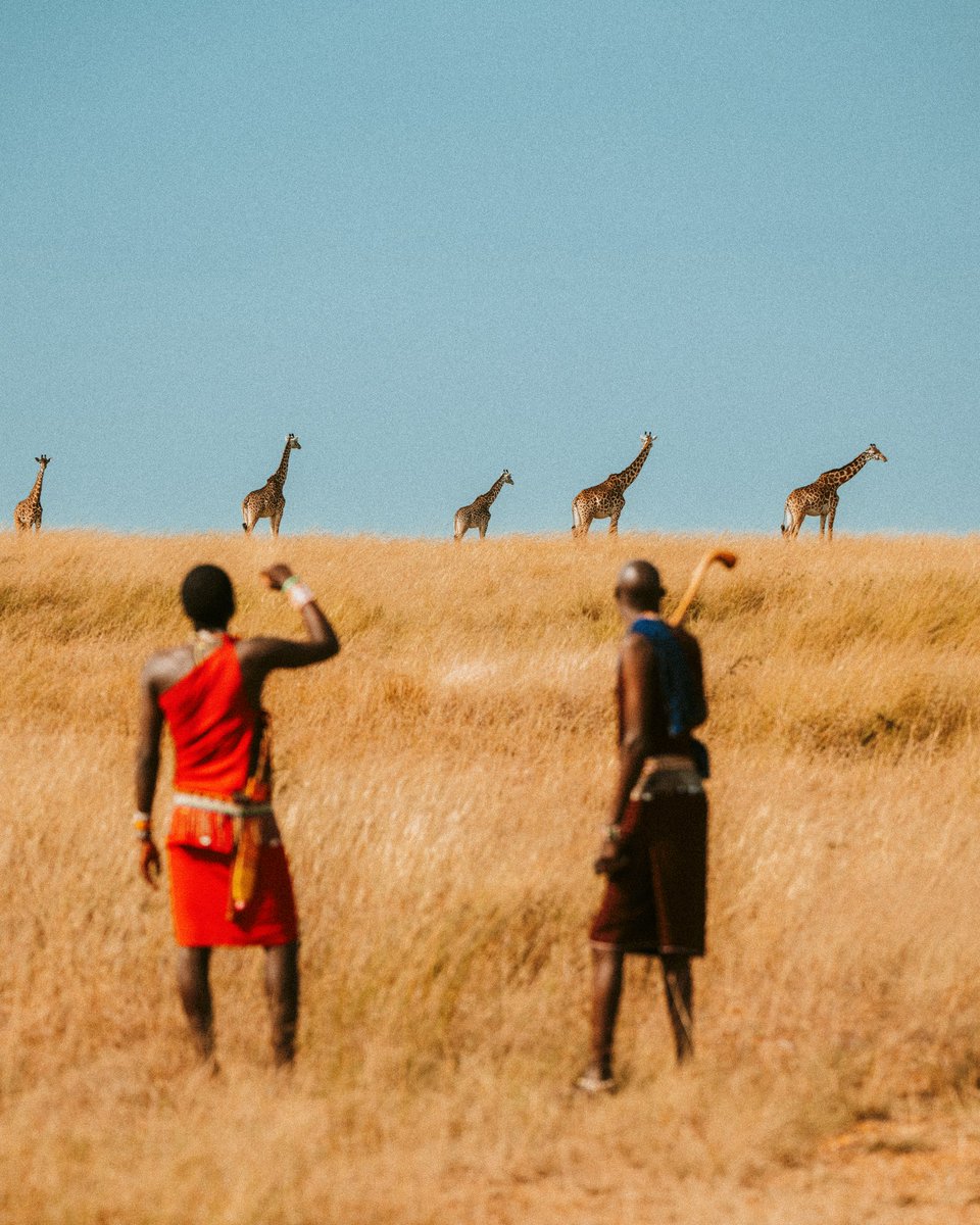visualsbykoech's tweet photo. Coexistence. One of my favourite moments from June. https://t.co/kPWf6C7VYa