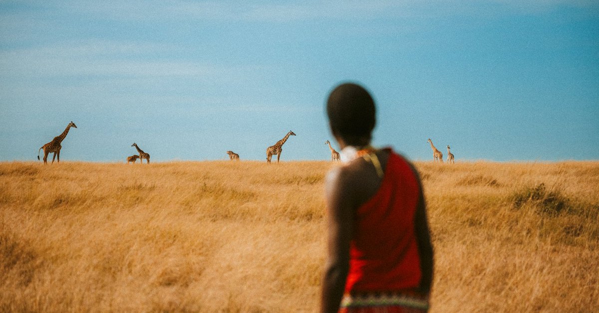 visualsbykoech's tweet photo. Coexistence. One of my favourite moments from June. https://t.co/kPWf6C7VYa