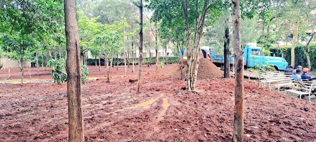 lemmaayune's tweet photo. Trust the process 
For landscaping solutions and maintenance 
Call me on 0702617012 https://t.co/H2VkL3I574