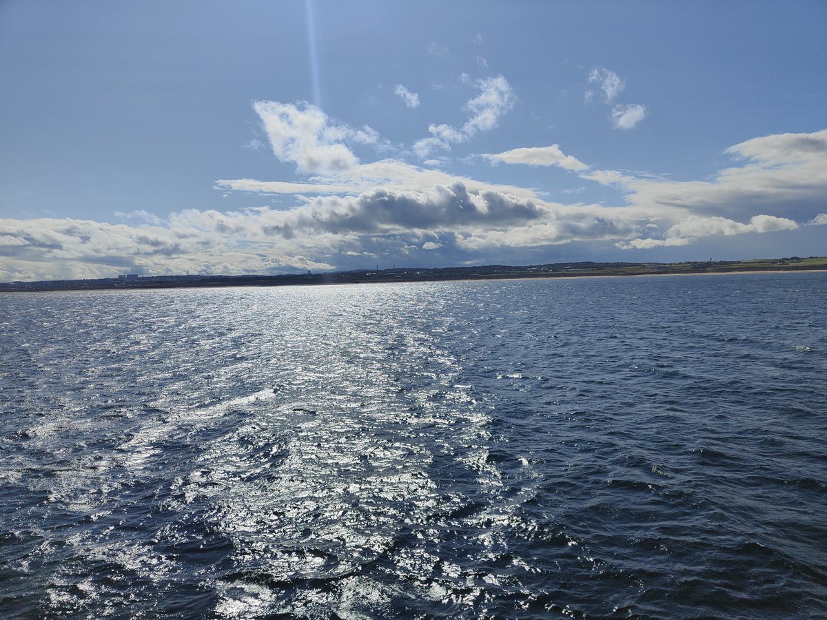 Charlotte Marris (she/her) tweet media