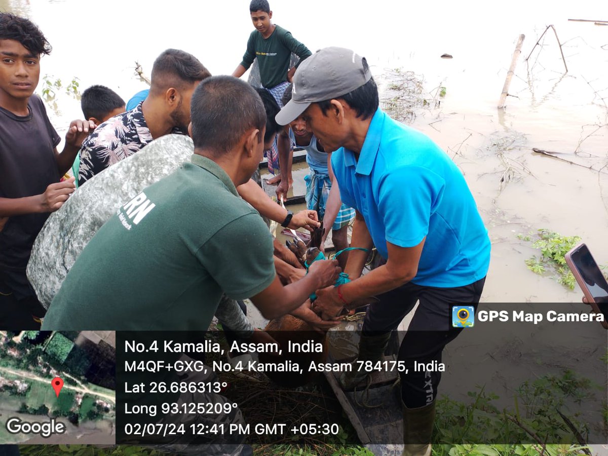 Tweet media one