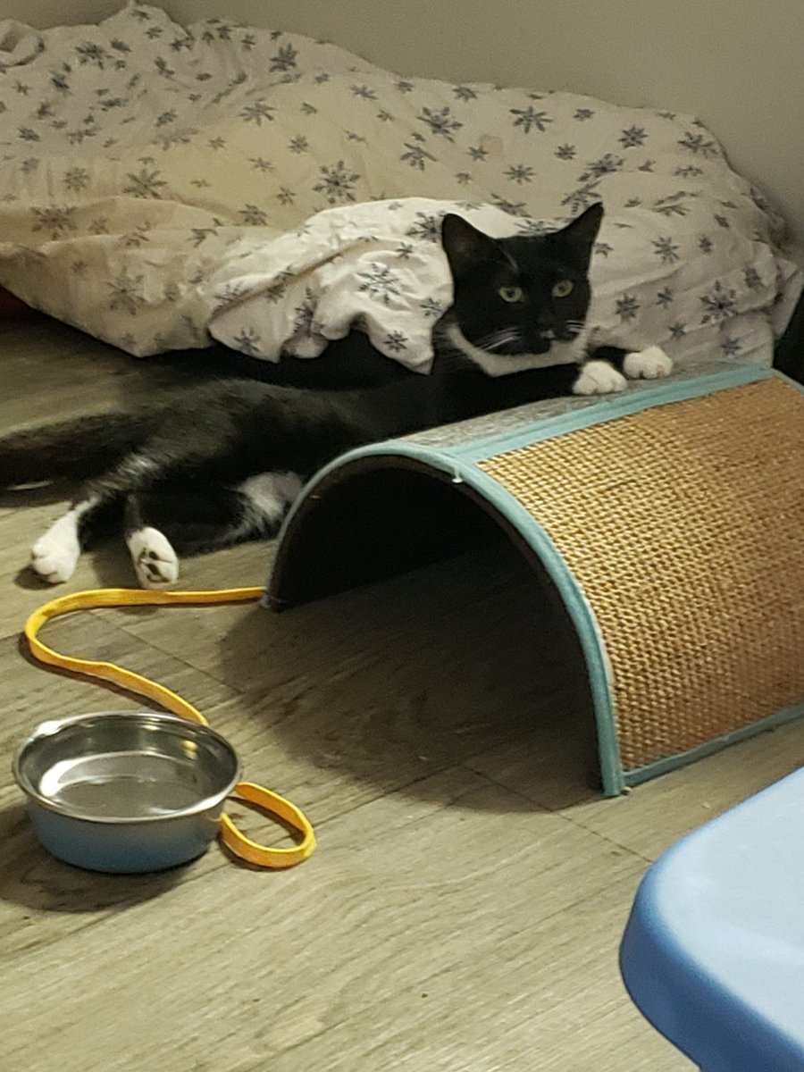 Angela Slotkin tweet media