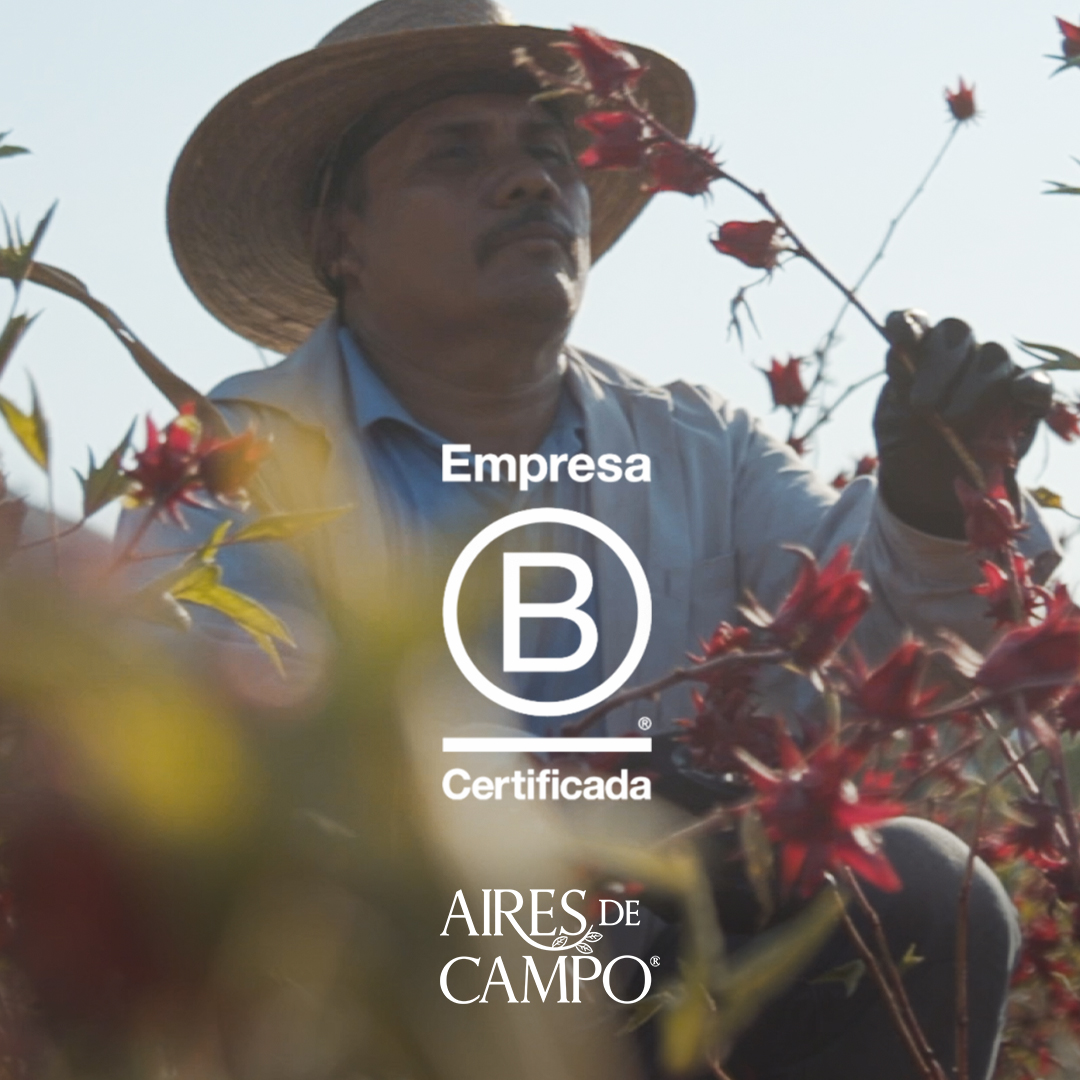En Aires de Campo contamos con La Certificación de Empresa B significa que cumplimos con lo más altos estándares de desempeño social y ambiental, transparencia y responsabilidad.

#airesdecampo #buenosdeorigen #empresaB #orgánicos #mexicanos