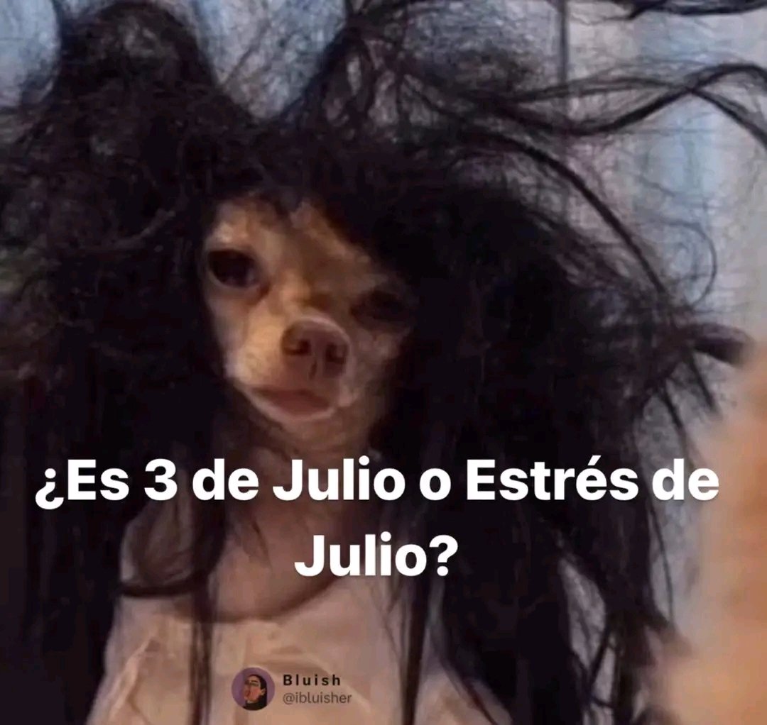 pablogar13's tweet photo. Pregunta sería.
#Julio https://t.co/vhig6jvALM