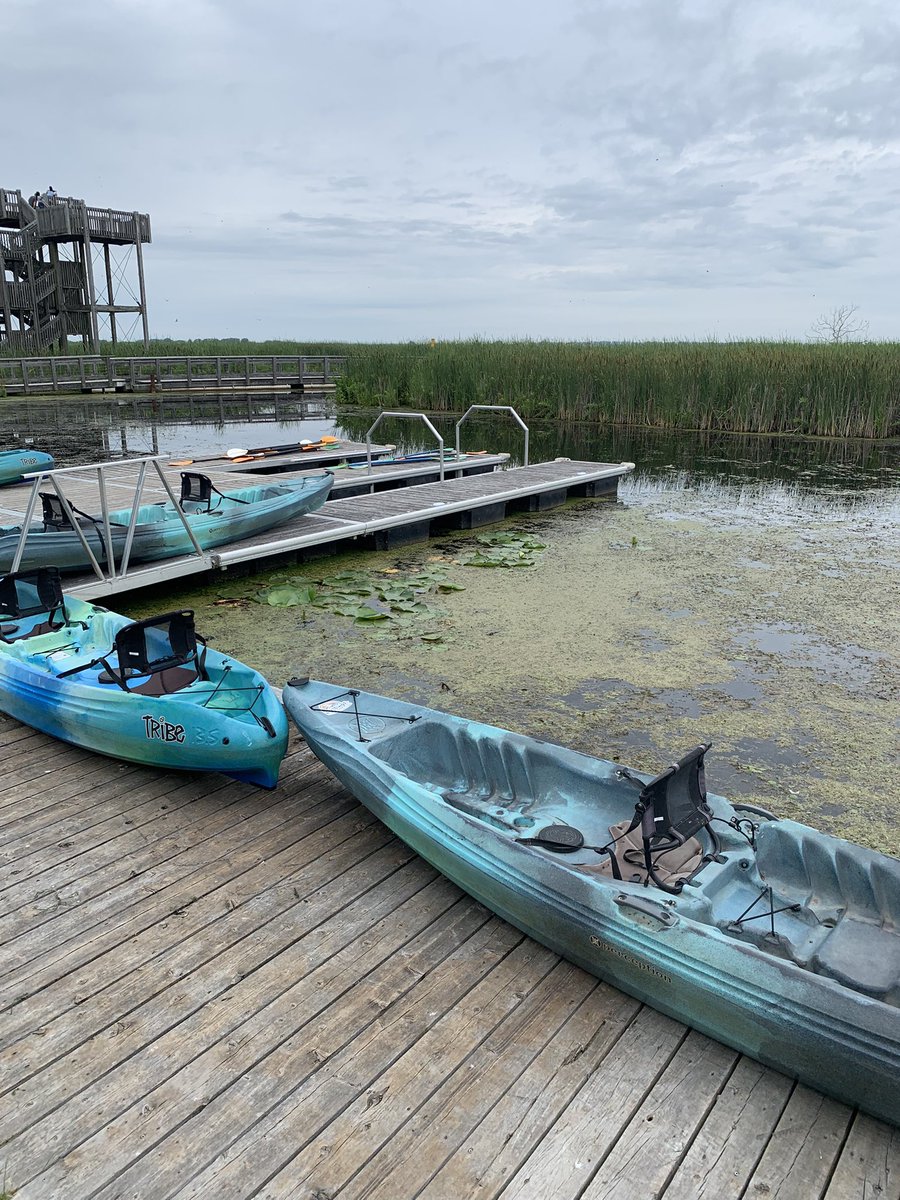 CstRenaud's tweet photo. @WindsorPolice #CampBrombal camper’s enjoying Pelee Wings sponsoring kayaking at Point Pelee https://t.co/3KShZecyEg