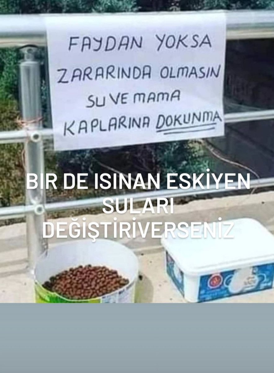 Nilgün Koçak (@nilgnkocak) on Twitter photo 