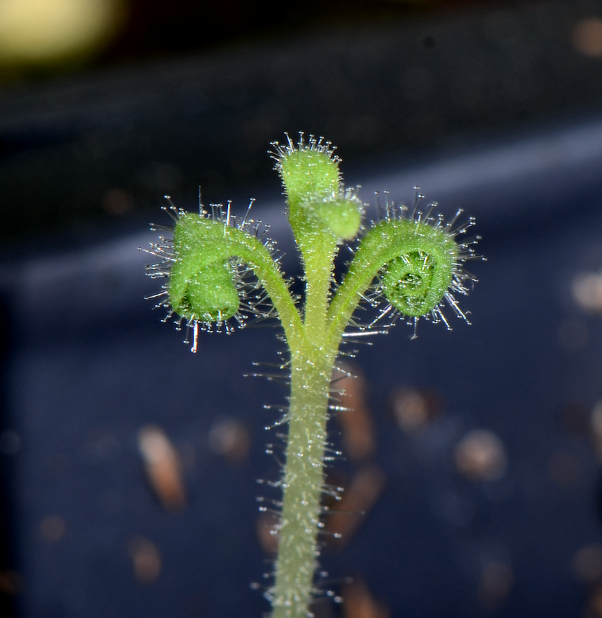 闵娅 (Min Ya | Minya), PhD tweet media