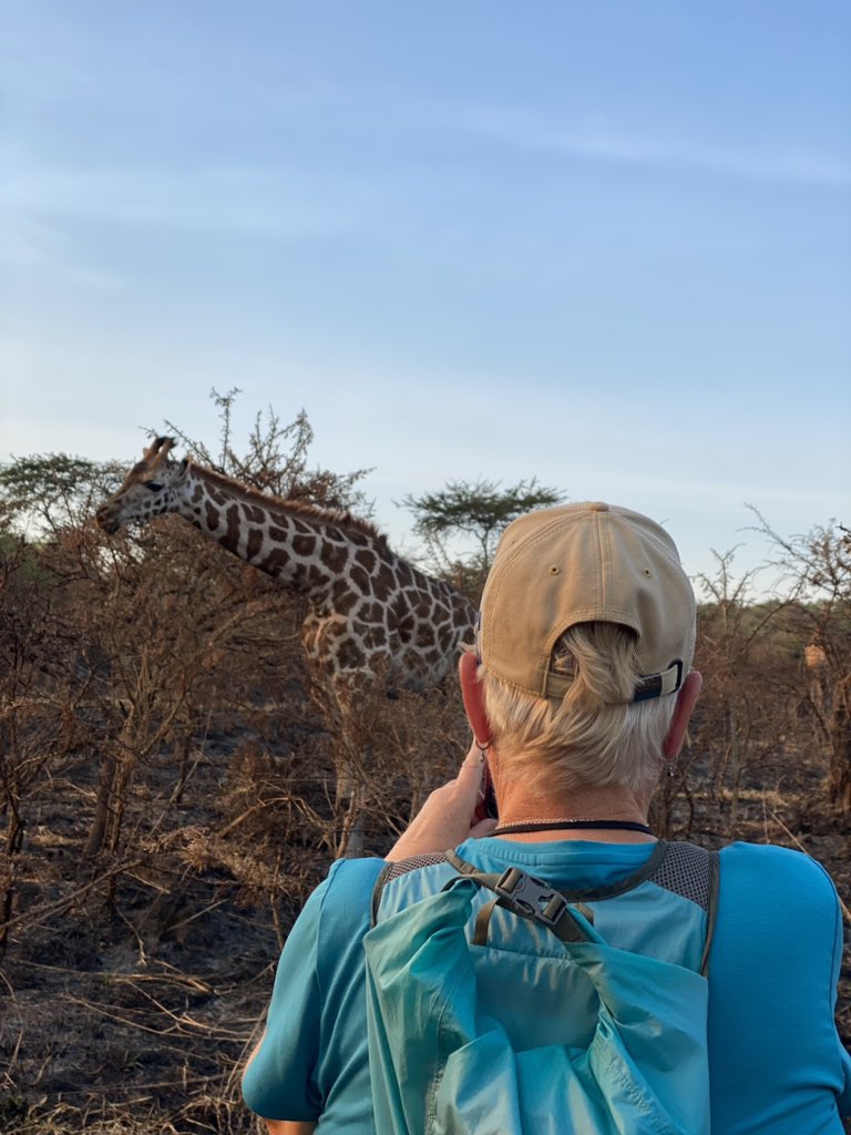 RockSafaris's tweet photo. Mid way between Bwindi and Entebbe, the savannas, acacia woodlands and wetlands of Lake Mburo are home to Elands, Giraffes, Zebras, Impalas, buffaloes and the elusive leopard besides others. 

Seeking out wildlife on foot is a unique experience a the park. 
#safari #walking https://t.co/YRpmJfDwns