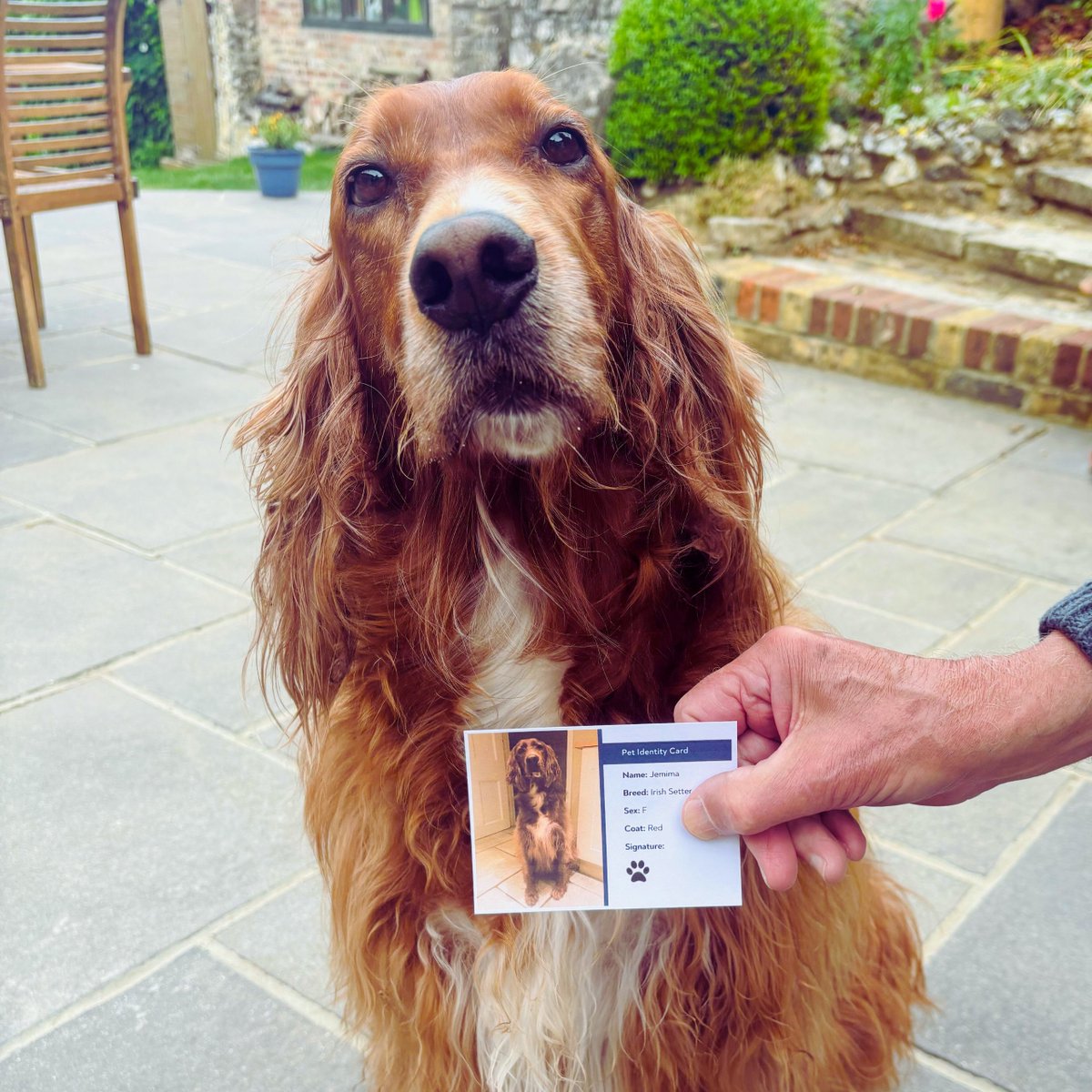 Tomorrow is polling day and a chance to vote for change. Don't paws, get out and cast your vote, and remember to bring your ID!  

#FairDeal #WealdofKent #LibDems #LiberalDemocrats #JohnHowson #GeneralElection2024  #GE2024