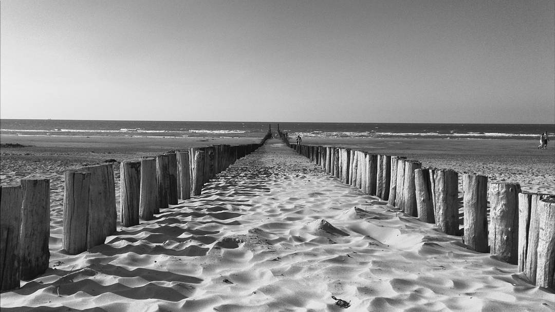 𝕏𝕩𝕤𝕄𝕒𝕖𝕤𝕥𝕣𝕠 📷 (@xxsmaestro) on Twitter photo 