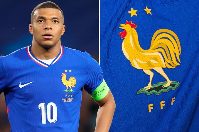 Bu horoz simgesinden dolayı başta Mbappe olmak üzere bütün Fransa Milli Takımı Euro 2024'ten men edilmeli.

Bu sembol, denizaşırı sömürgeciliği, emperyalizmi, Afrika ve Okyanus halklarının kitlesel katlini çağrıştırıyor.