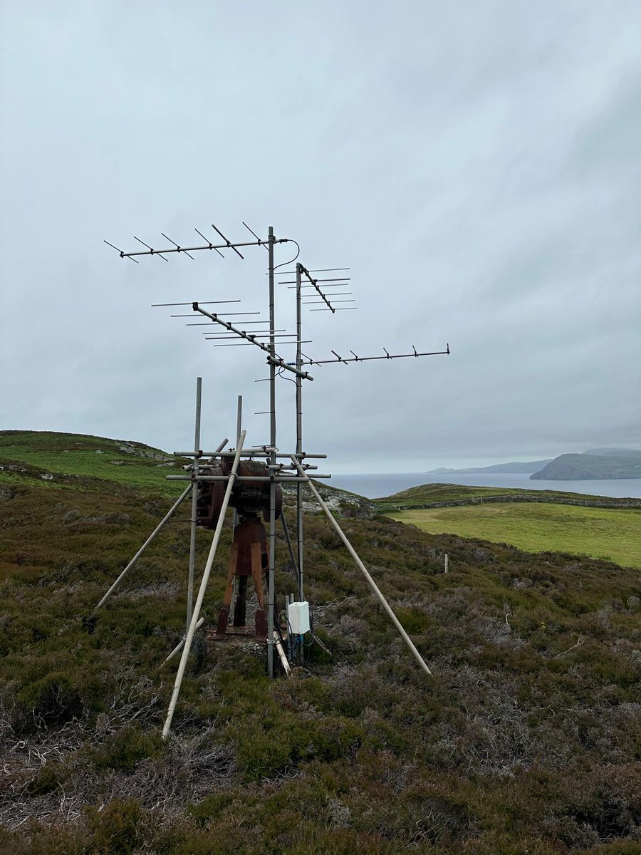 Calf of Man Bird Observatory tweet media