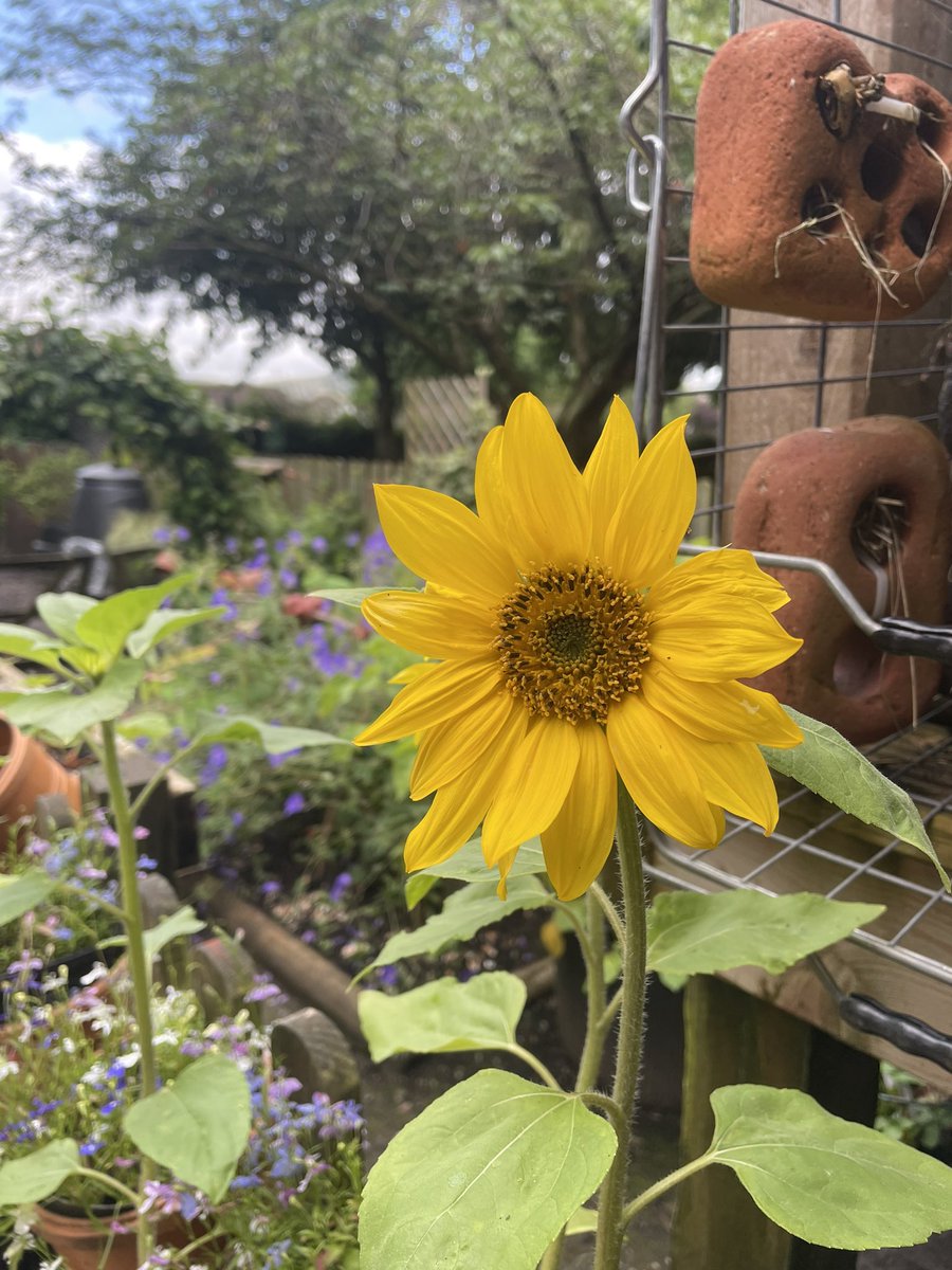 Adele Bealey tweet media