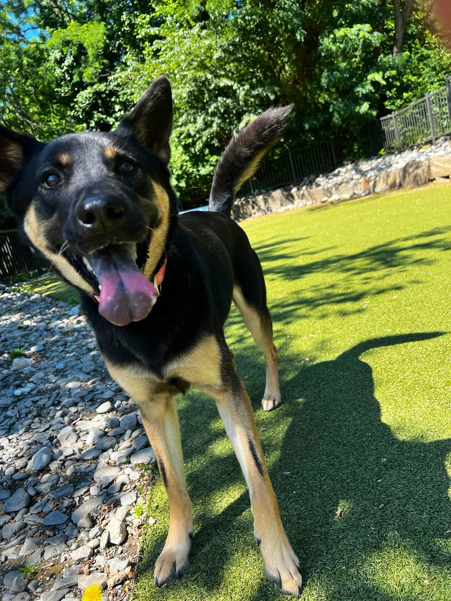 Matt Turner tweet media