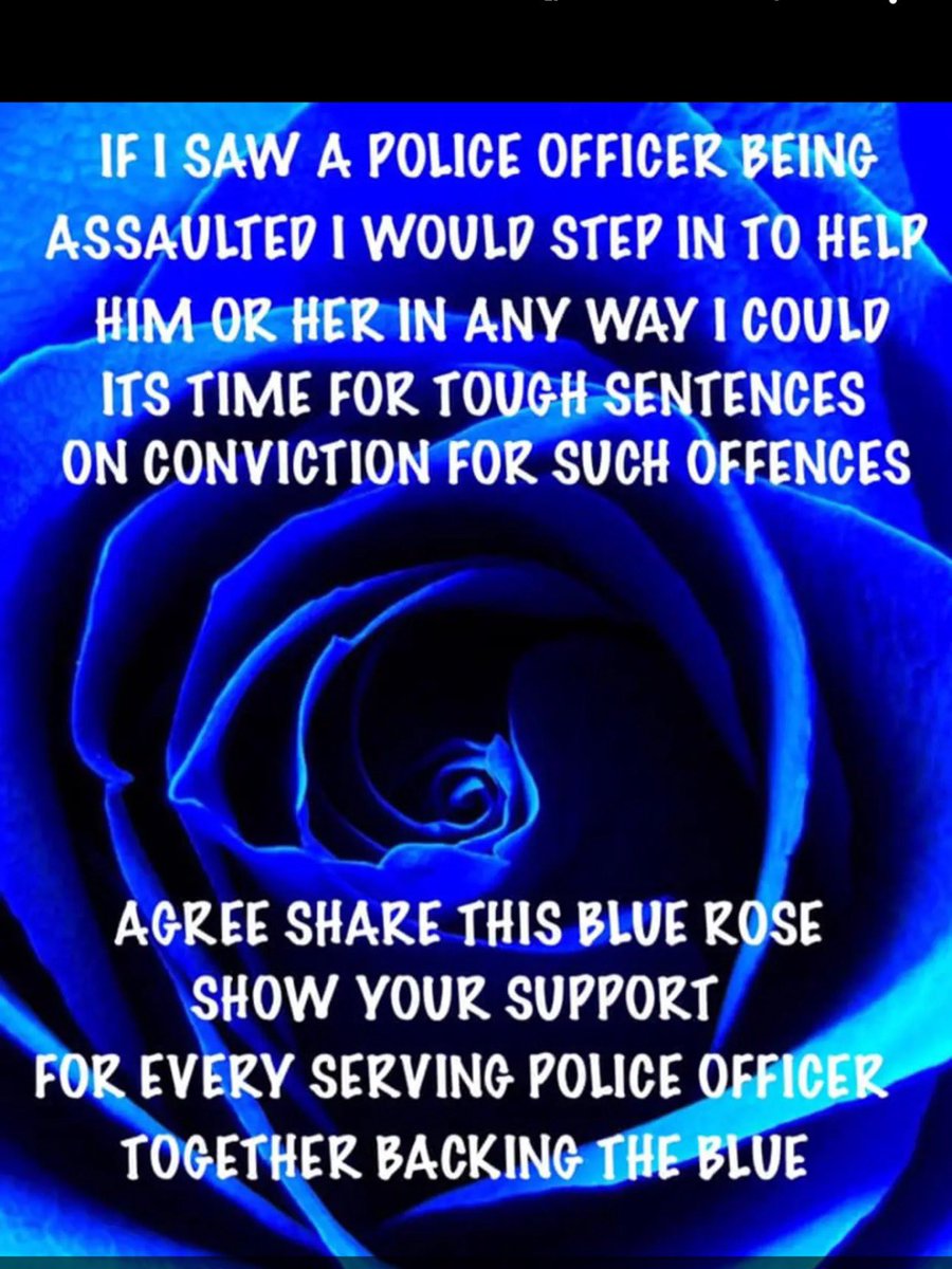 wolfette24's tweet photo. 100% https://t.co/mTZBa1kCmE