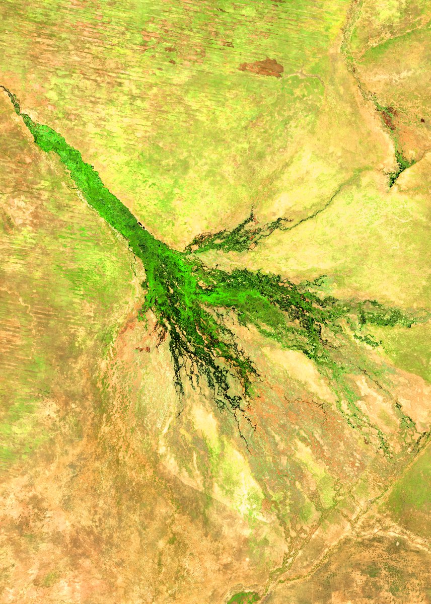 -- -- --------- tweet media