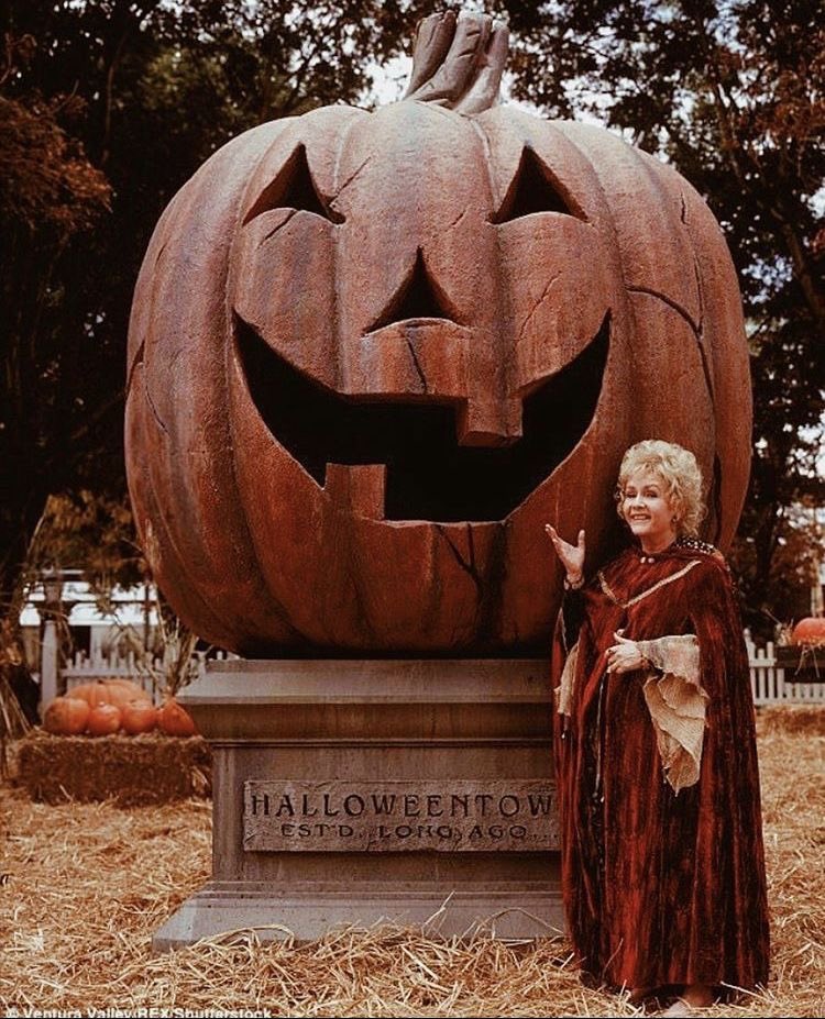 laenexttdoor's tweet photo. i can’t wait till halloweeeeennn🍂 https://t.co/BwS3XcO2Jy