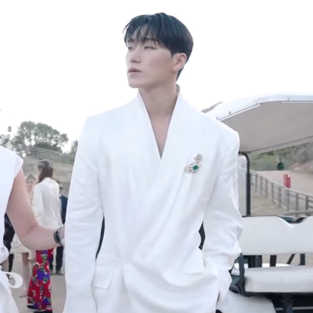 black swan ⠀⠀⠀⠀ ⠀⠀⠀⠀white swan