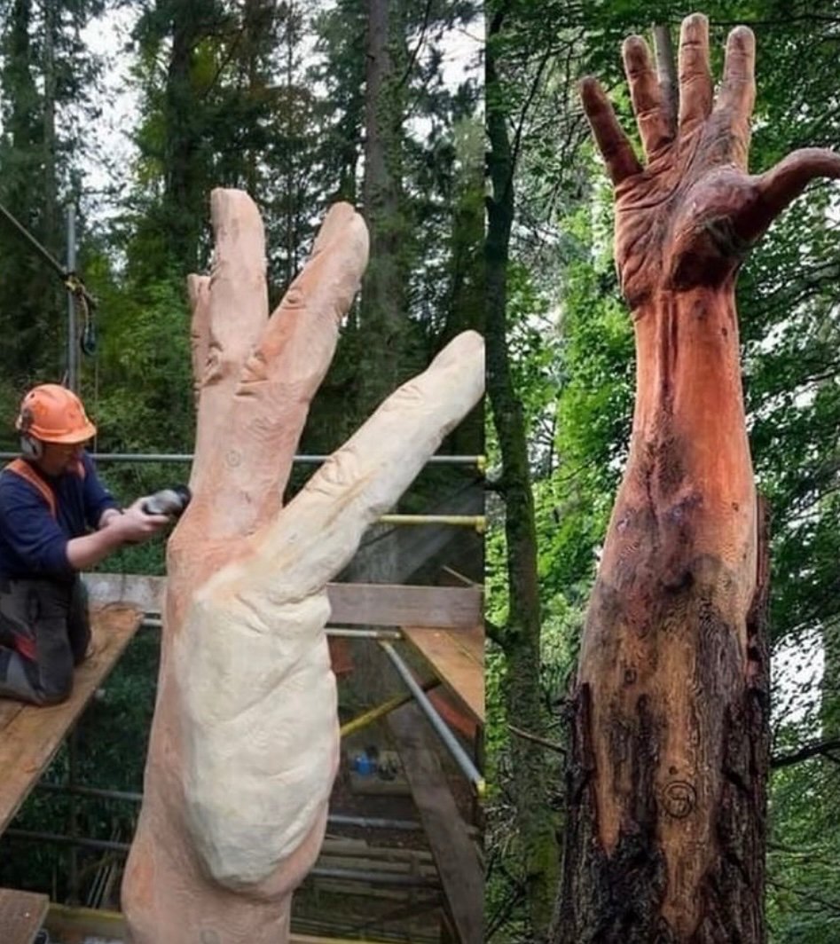 Anita Sharma tweet media