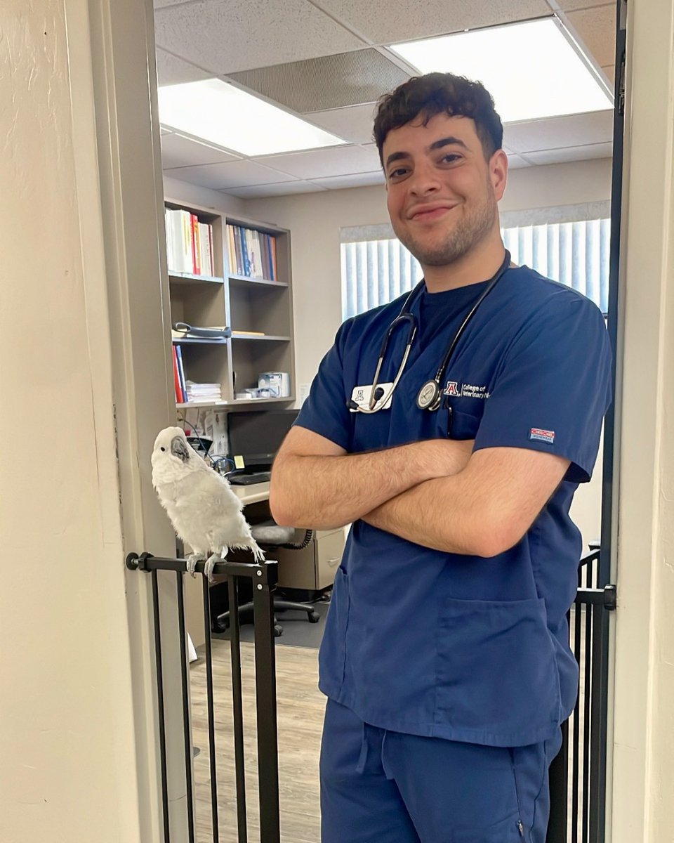 Meet third-year student Justin Ezer! With a background in biological sciences and psychology and a passion for animals, Justin’s journey to a veterinary career is inspiring. Read more below! 🐾 #RoadtoGraduation

bit.ly/4bCROxG