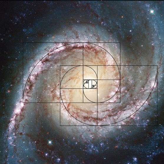 PhysInHistory's tweet image. What's the most fascinating example of mathematics you've seen in nature? ✍️