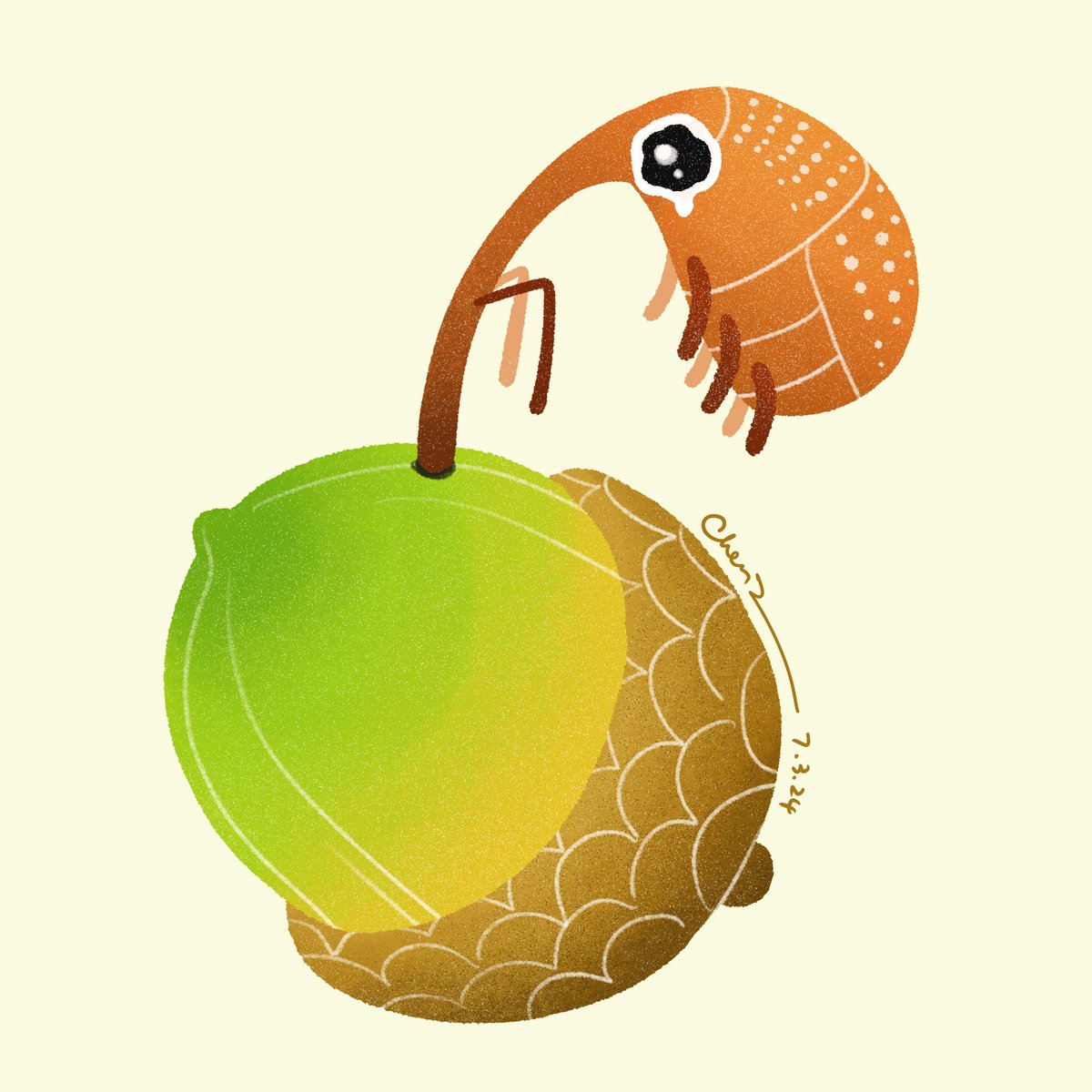 It’s weevil Wednesday! Watch your steps and hold tight!