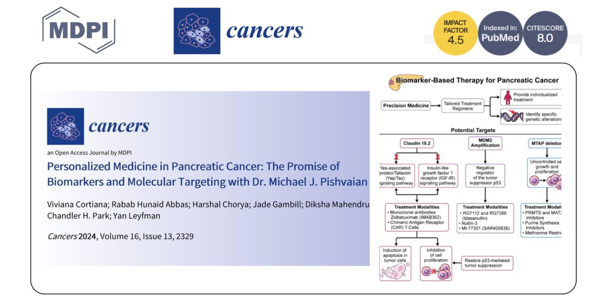 vivi_medonc's tweet photo. Pancreatic cancer research is crucial as it’s predicted to become the second deadliest tumor.

Our review in @Cancers_MDPI, inspired by @MPishvaian  of @JohnsHopkins, discusses the promise of personalized medicine in improving outcomes for this complex and fascinating disease. https://t.co/YAjMjo6TY7