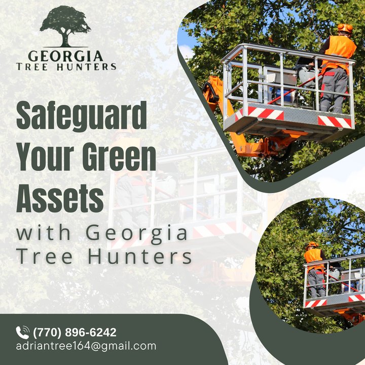 HuntersTre76383's tweet photo. Specializing in everything from pruning to pest management, we enhance the health and appearance of your trees, ensuring they add value and beauty to your property all year long. #TreeHealth #GeorgiaTreeCare #ArboristExperts
https://t.co/7Wl6JznV5s https://t.co/HszUKVhZih