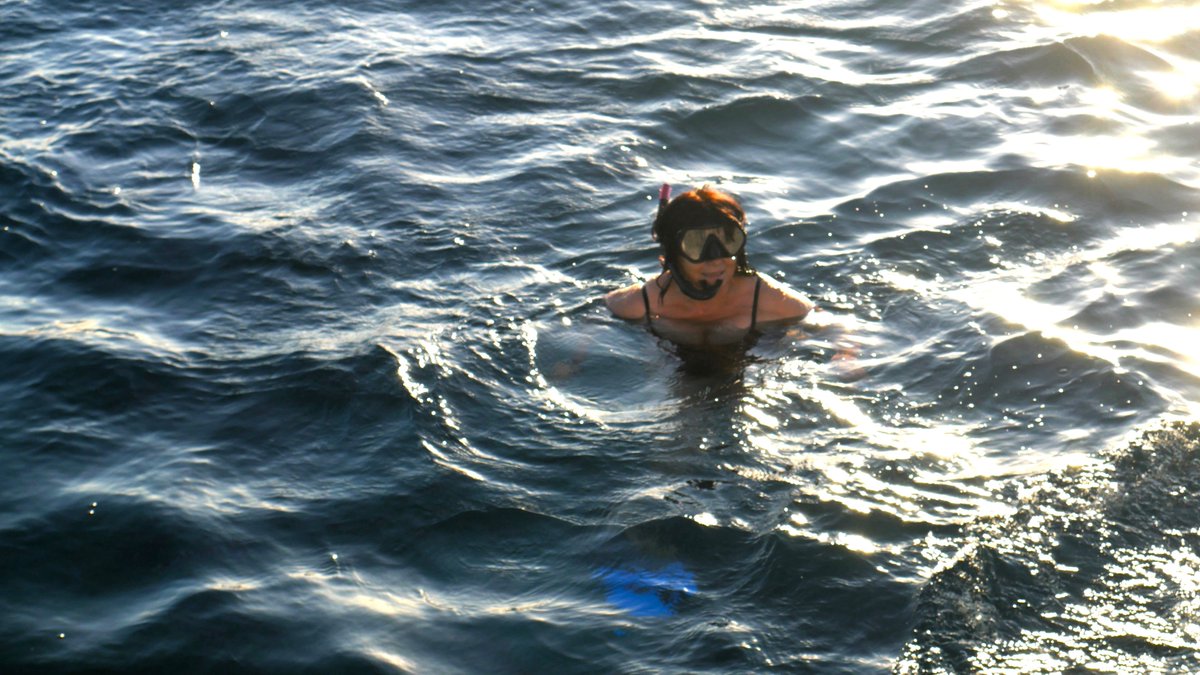 MediaAge_Irene's tweet photo. Hoy, mi oficina bajo el #OceanoIndico... #snorkel en  #IslaMauricio. Cuando trabajar es un placer!. Te lo cuento en @GenteViajeraOCR con @carleslamelo para que lo vayas apuntando en tu agenda. Te vienes?

#MyRIUTrip #aventura #navegar #Mauritius #irenegonzalez #AfricaStay #Africa https://t.co/alcI6bxqSs