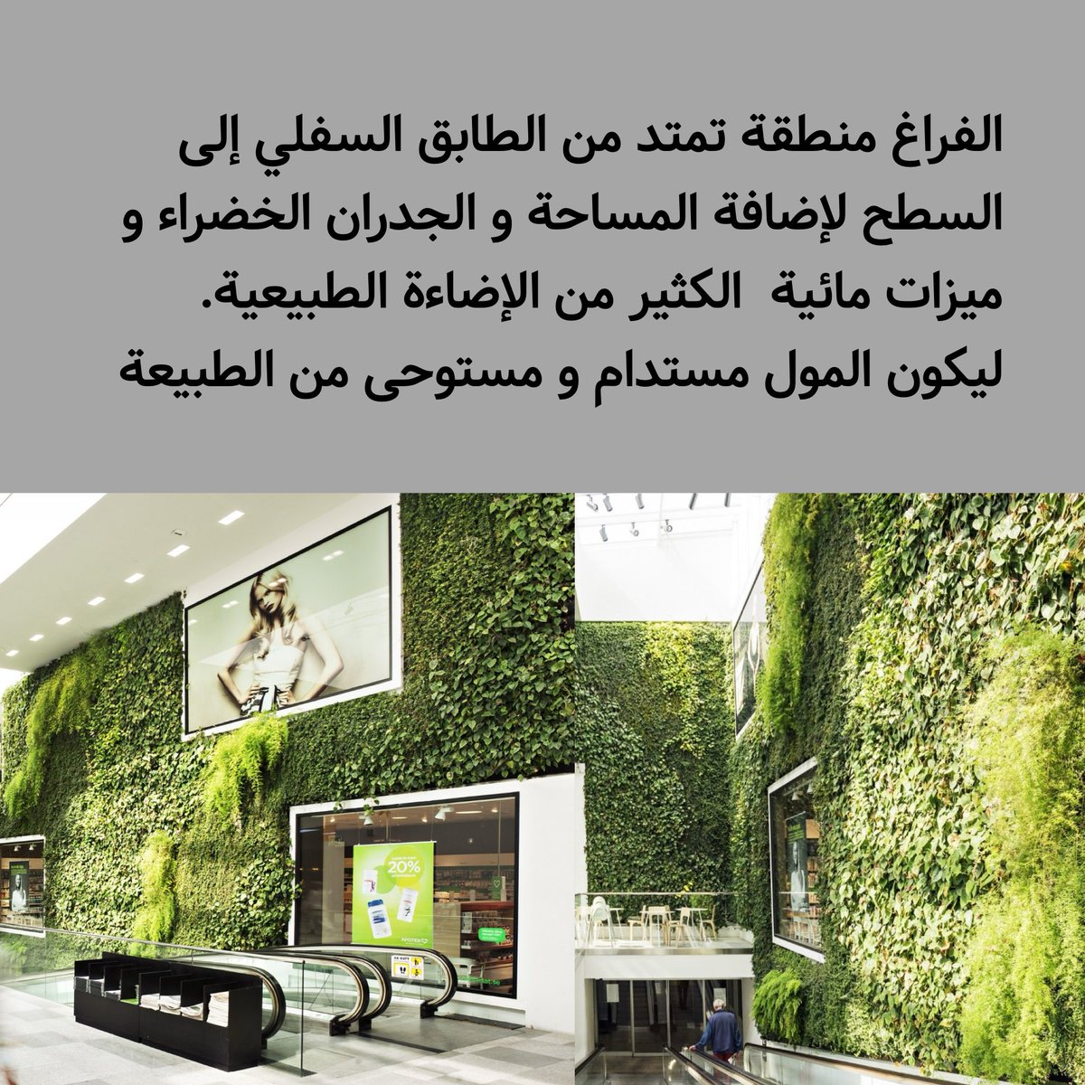 بدء أعمال التنفيذ لمشروع مول مستوحى من الطبيعة  في منطقة شوبا هارتلاند دبي لافتتاحية في عام 2026