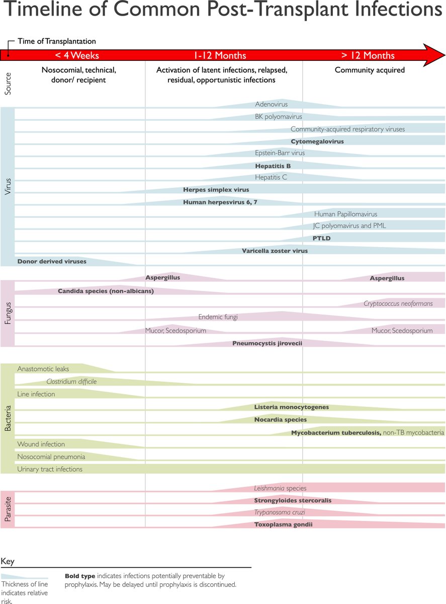 transplantid.net (@transplantidnet) on Twitter photo July #TxID attendings! Need to introduce new <a href="/ID_fellows/">Infectious Disease Fellows Network</a> <a href="/TxID_Fellows/">TxID Early Career Network</a> to solid organ transplant and LVADs?
Try the <a href="/AST_IDCOP/">Infectious Diseases Community of Practice - AST</a> transplantid.net CORE CURRICULUM:
- immunosuppressants transplantid.net/?core_curricul…
- SOT transplantid.net/?core_curricul…
- LVADs transplantid.net/?core_curricul… July #TxID attendings! Need to introduce new <a href="/ID_fellows/">Infectious Disease Fellows Network</a> <a href="/TxID_Fellows/">TxID Early Career Network</a> to solid organ transplant and LVADs?
Try the <a href="/AST_IDCOP/">Infectious Diseases Community of Practice - AST</a> transplantid.net CORE CURRICULUM:
- immunosuppressants transplantid.net/?core_curricul…
- SOT transplantid.net/?core_curricul…
- LVADs transplantid.net/?core_curricul…