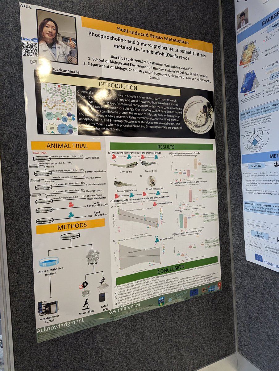 Lauric_Feugere (@lfeugere) on Twitter photo Great poster session at #SEB24 #SEBCONFERENCE by <a href="/OdysysLab/">Odysys lab</a> members, cool results from <a href="/cybokat/">Dr. Kat Wollenberg Valero</a> and Jiao! Great poster session at #SEB24 #SEBCONFERENCE by <a href="/OdysysLab/">Odysys lab</a> members, cool results from <a href="/cybokat/">Dr. Kat Wollenberg Valero</a> and Jiao!