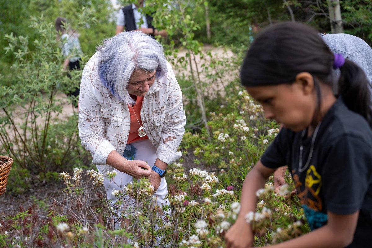 Governor General of Canada (@ggcanada) on Twitter photo #GGSimon visited <a href="/MemorialU/">Memorial University</a>’s Pye Centre for Northern Boreal Food Systems.
Since 2019, the centre has strived to blend local and Indigenous knowledge to improve food security and access in the region, especially in northern areas. #GGSimon visited <a href="/MemorialU/">Memorial University</a>’s Pye Centre for Northern Boreal Food Systems.
Since 2019, the centre has strived to blend local and Indigenous knowledge to improve food security and access in the region, especially in northern areas.