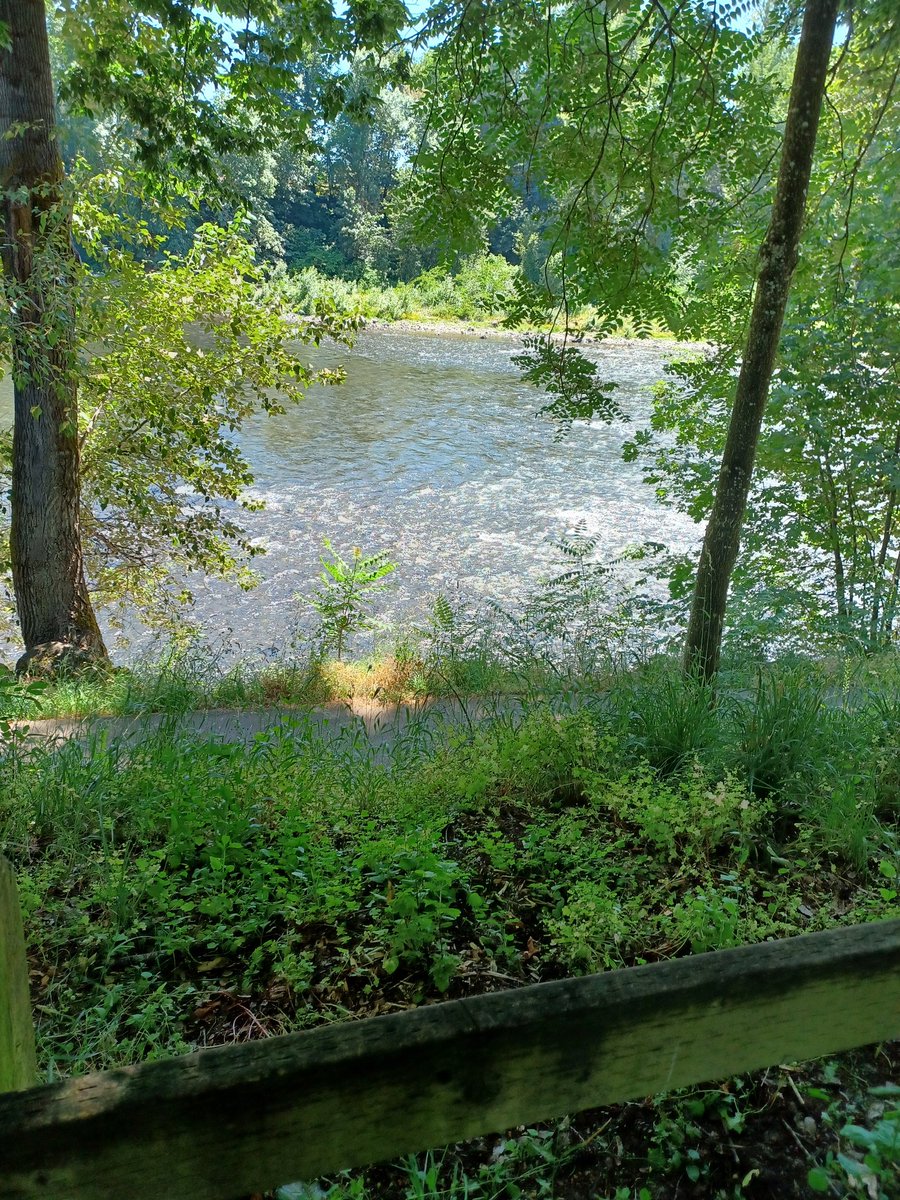 A beautiful Oregon view. I love summer.