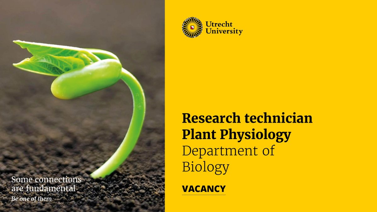 Rashmi Sasidharan (@r_sasidharan) on Twitter photo Vacancy alert🚨 Technician position with <a href="/guidopmi/">Guido Van den Ackerveken</a> and myself within the CropXR project #potato #lettuce Please spread the word! <a href="/UU_Plants/">UU_Plants</a> <a href="/EPSGradSchool/">Graduate School EPS</a> uu.nl/en/organisatio… Vacancy alert🚨 Technician position with <a href="/guidopmi/">Guido Van den Ackerveken</a> and myself within the CropXR project #potato #lettuce Please spread the word! <a href="/UU_Plants/">UU_Plants</a> <a href="/EPSGradSchool/">Graduate School EPS</a> uu.nl/en/organisatio…