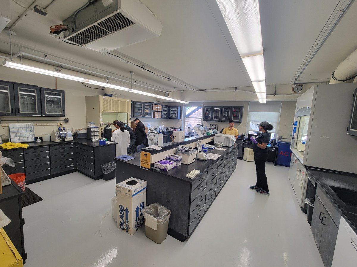 Kelton McMahon (@drkeltonmcmahon) on Twitter photo So much science! <a href="/laurennzane/">Lauren Zane</a>, <a href="/HectorGTorresD1/">Hector G. Torres De Jesús</a>, and Connornlove are working on fatty acid extractions, Audreyana Nash is working on an international amino acid isotope reference material project, and @AAd15N Josh Pi is analyzing herbivorous fish amino acid isotope data! So much science! <a href="/laurennzane/">Lauren Zane</a>, <a href="/HectorGTorresD1/">Hector G. Torres De Jesús</a>, and Connornlove are working on fatty acid extractions, Audreyana Nash is working on an international amino acid isotope reference material project, and @AAd15N Josh Pi is analyzing herbivorous fish amino acid isotope data!