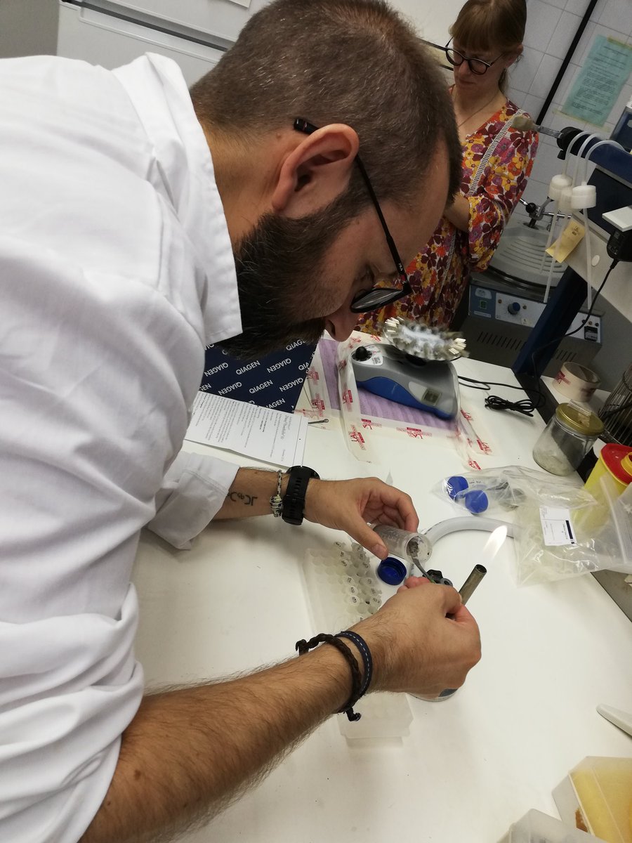 Paloma Alcorlo Pages ☮️🏳️‍🌈🇵🇸🍉 tweet media