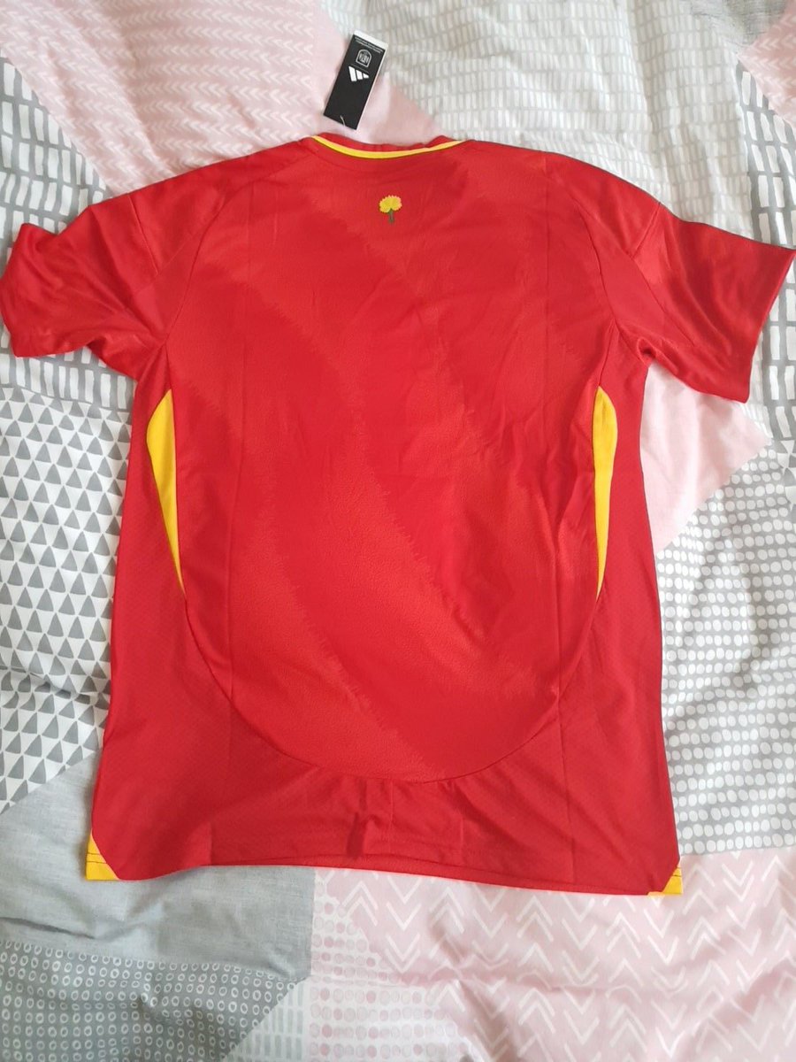 loretohuelga79's tweet photo. Ya he recibido la camiseta de la selección española gracias al sorteo de @JuandaRM7 y @guru_deporte2 @guru_deporte_2 Muchas gracias 😊😊😊😊😊 #Sorteoeurocopa #VamosEspaña #LaRoja https://t.co/qWS5Tm2qxk